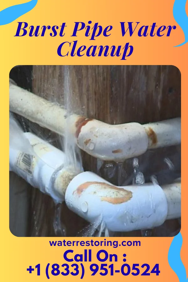 Burst Pipe Water Cleanup in Polonia, WI