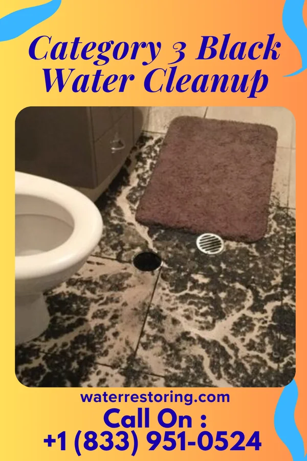 Category 3 Black Water Cleanup in Polonia, WI